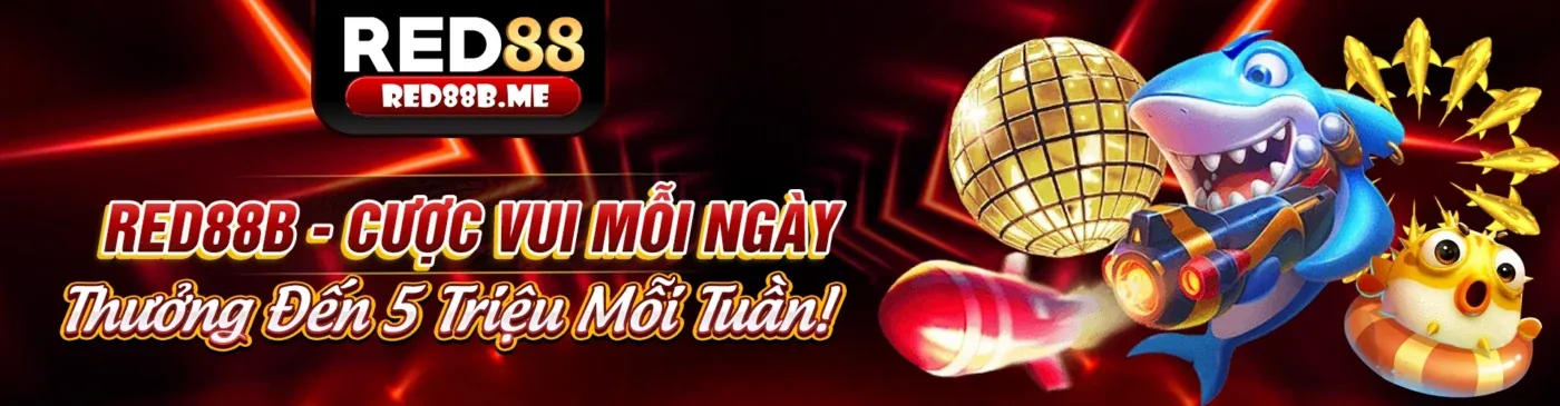 Sân vận động thể thao với các trận đấu sôi động tại AF88